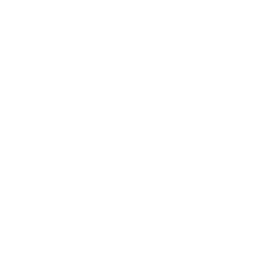 Logo web thomas 500x